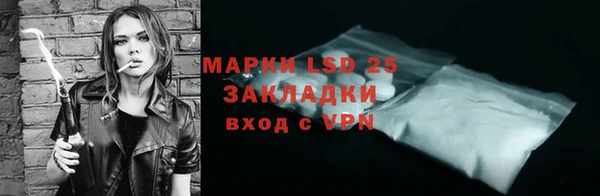 ГАЛЛЮЦИНОГЕННЫЕ ГРИБЫ Балабаново