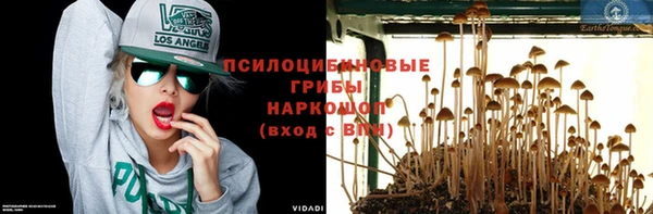 бошки Баксан
