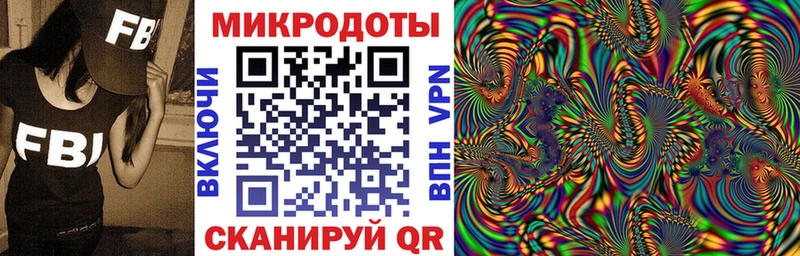 Псилоцибиновые грибы Psilocybe Верея
